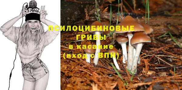 ALPHA PVP Алексеевка